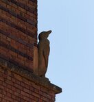 Pinguïnbeeld aan de achterzijde.
<br/>
Marcel Westhoff, mei 2020